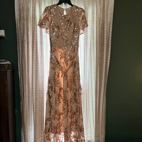 Baltic Born | Dresses | Baltic Born Rose Gold Flutter Sleeve Maxi Gown |  Poshmark
